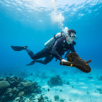 OceanDrive®